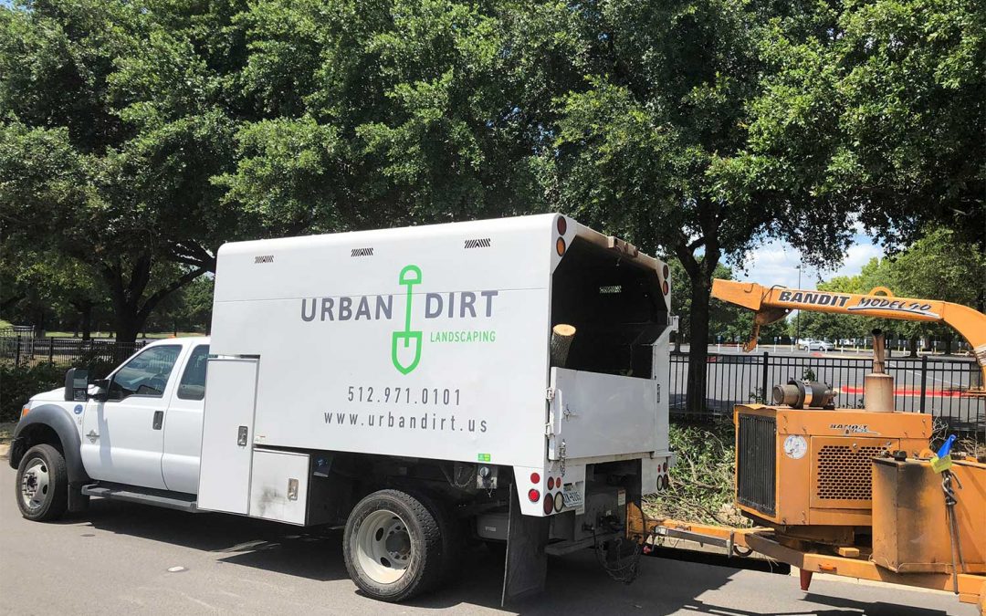 Urban Dirt Expands to San Antonio